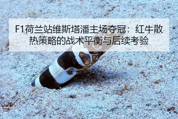 he-lan-zhan-wei-si-ta-pan-zhu-chang-duo-guan-hong-niu-san-re-ce-lve-de-zhan-shu-ping-heng-yu-hou-xu-kao-yan-2-242.jpg